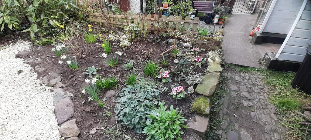 Garden 3.jpg