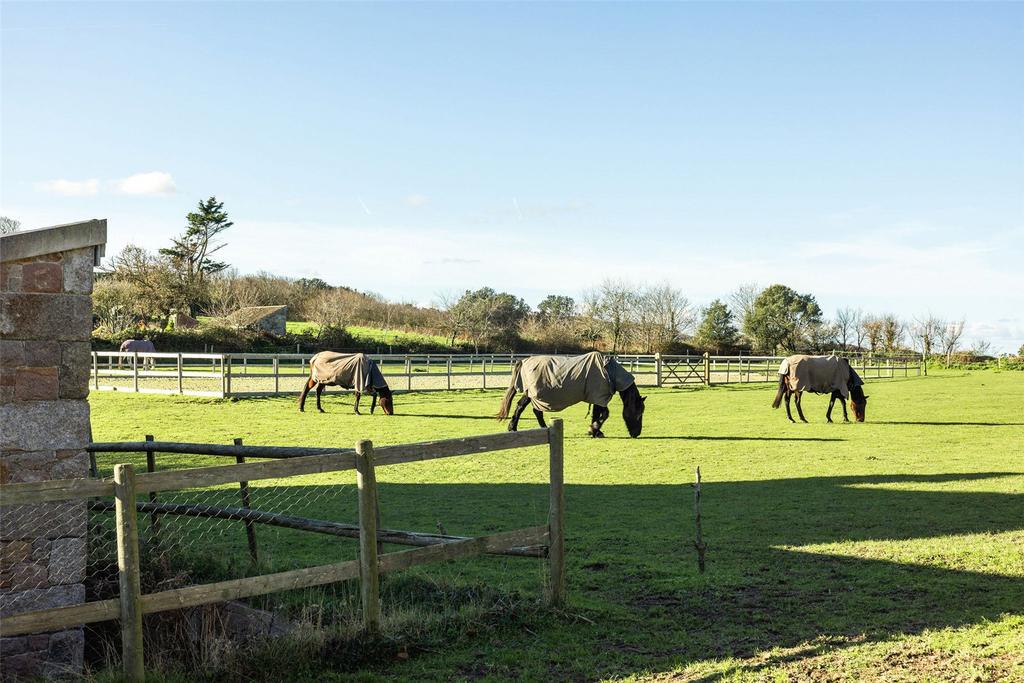 Grazing