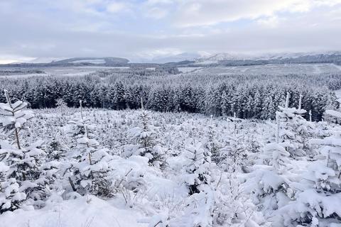 Land for sale, Spean Bridge, Fort William PH34