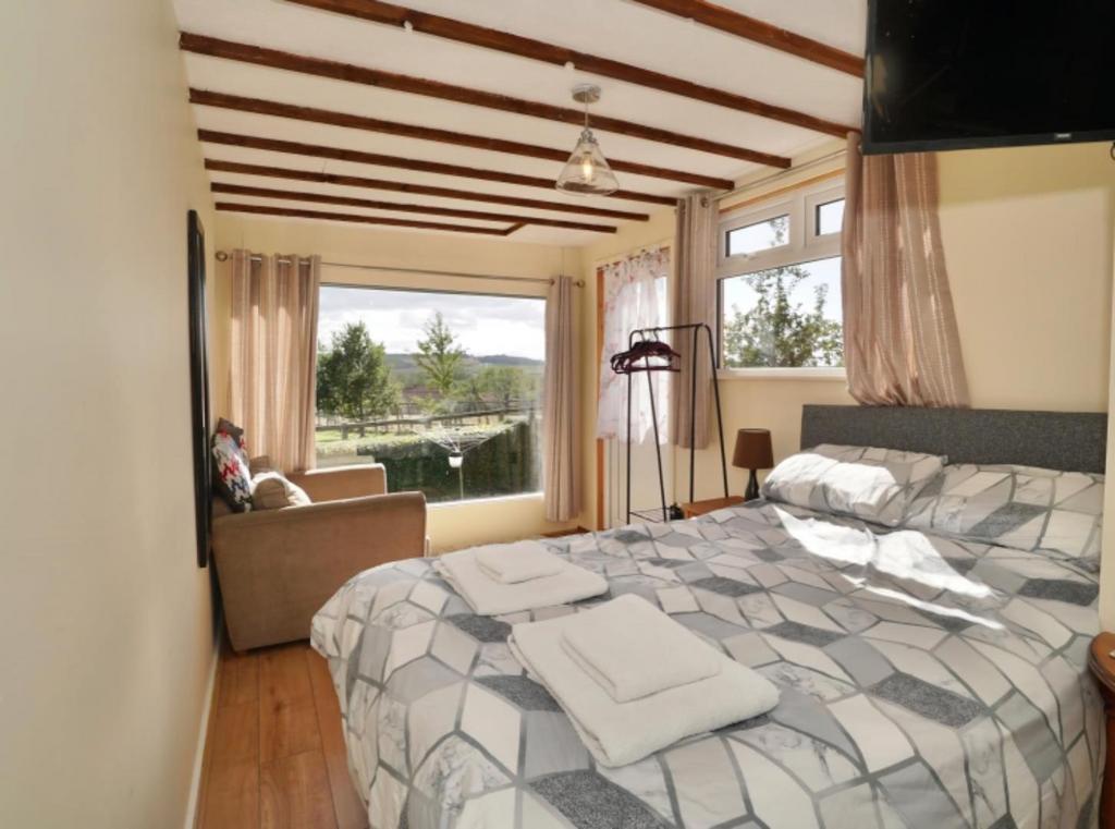 Reception Room / Bedroom