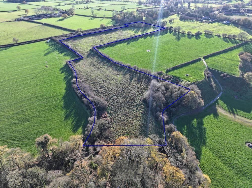DJI 20251130125207 0026 D.jpg