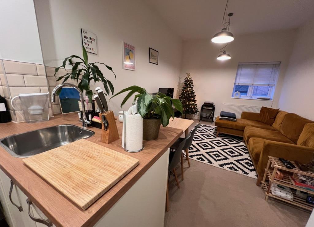 Living Area/kitchen