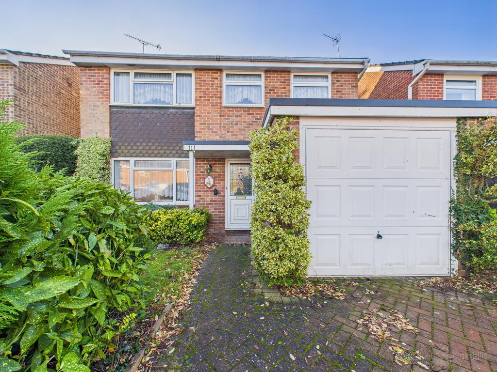 Cam02136 g0 pr0494 still024