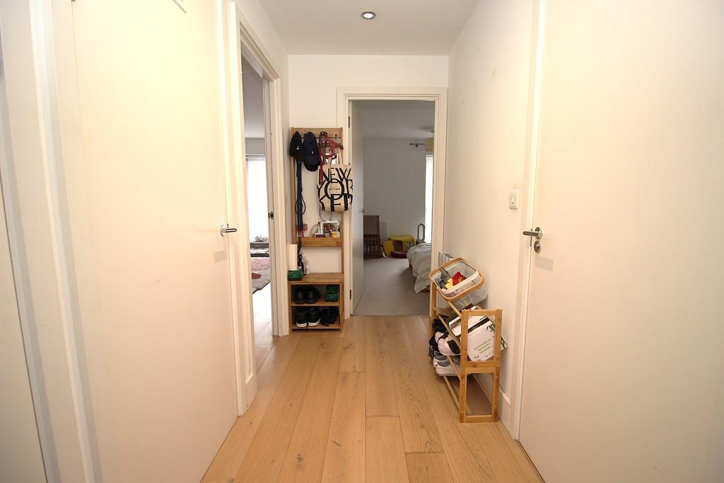 Img 0530
