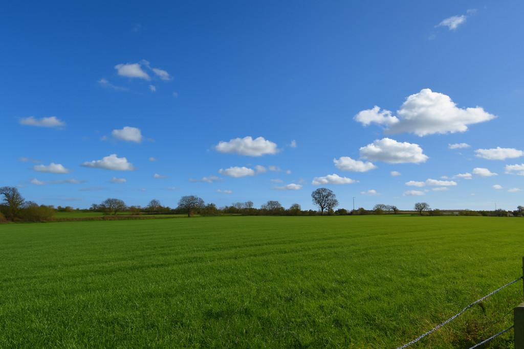 Countryside Views