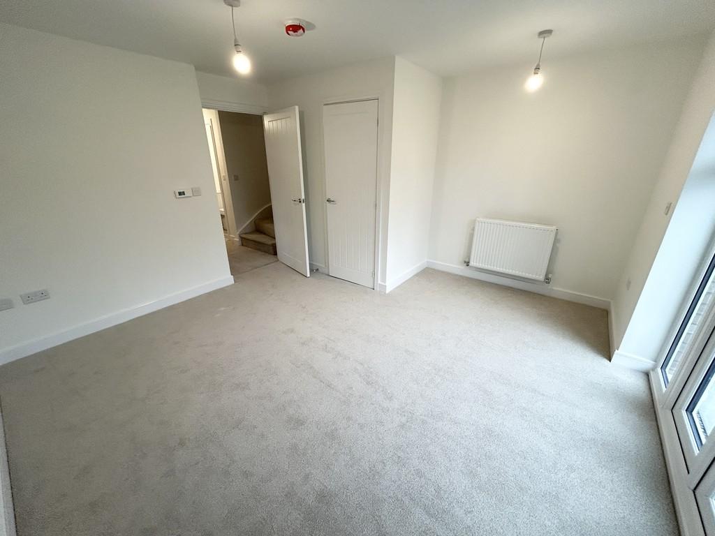 Img 1374