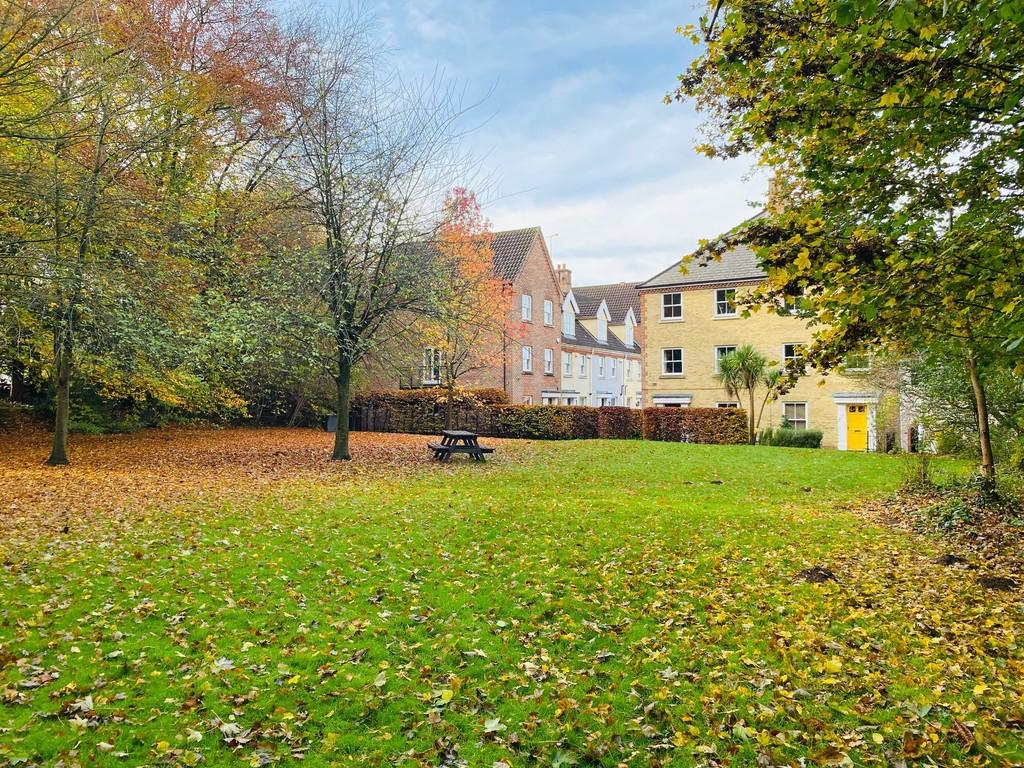 Communal Garden/woodland