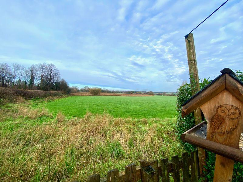 Open Views
