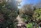 Additional image 10 of The Borough, Downton, Salisbury, Wiltshire, SP5