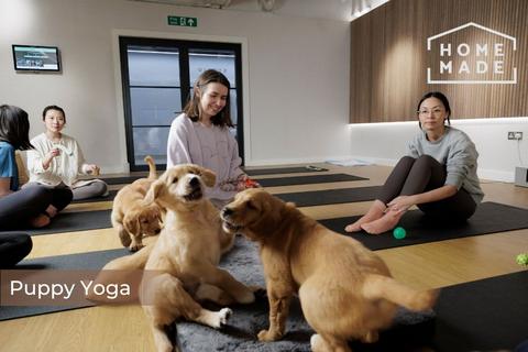 2 bedroom apartment to rent, Coppermaker Square, Stratford, E20