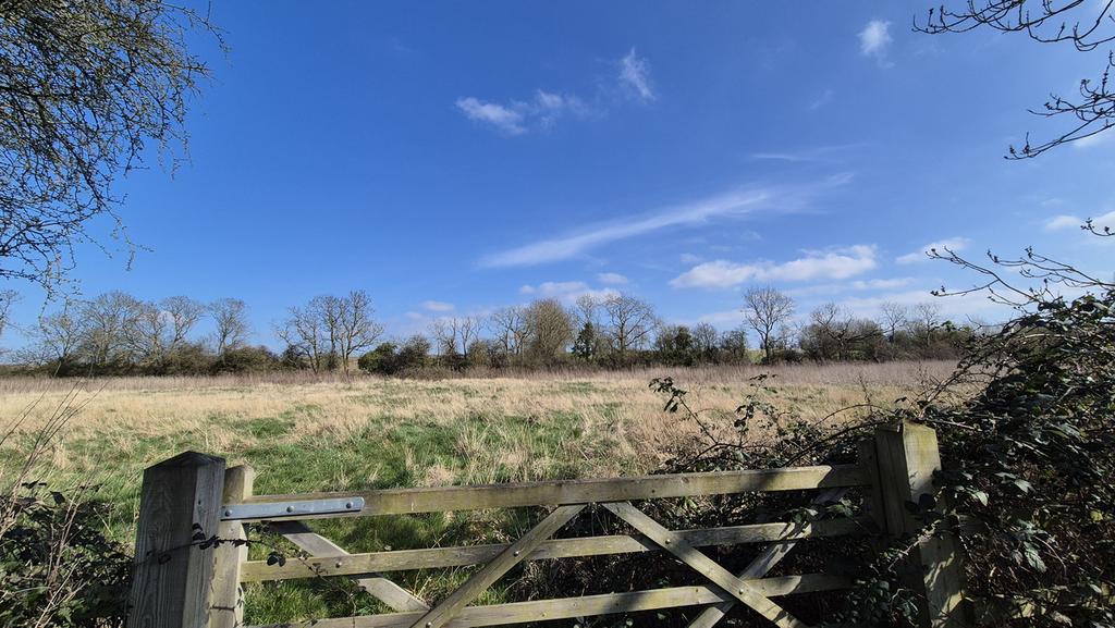 Surrounding Area