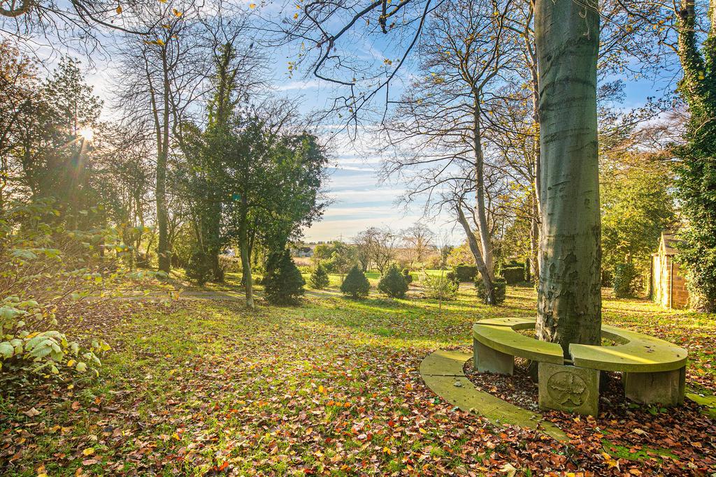 Paddock Garden