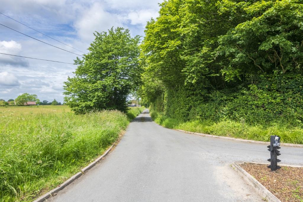 17 Medium T202509241445.jpg