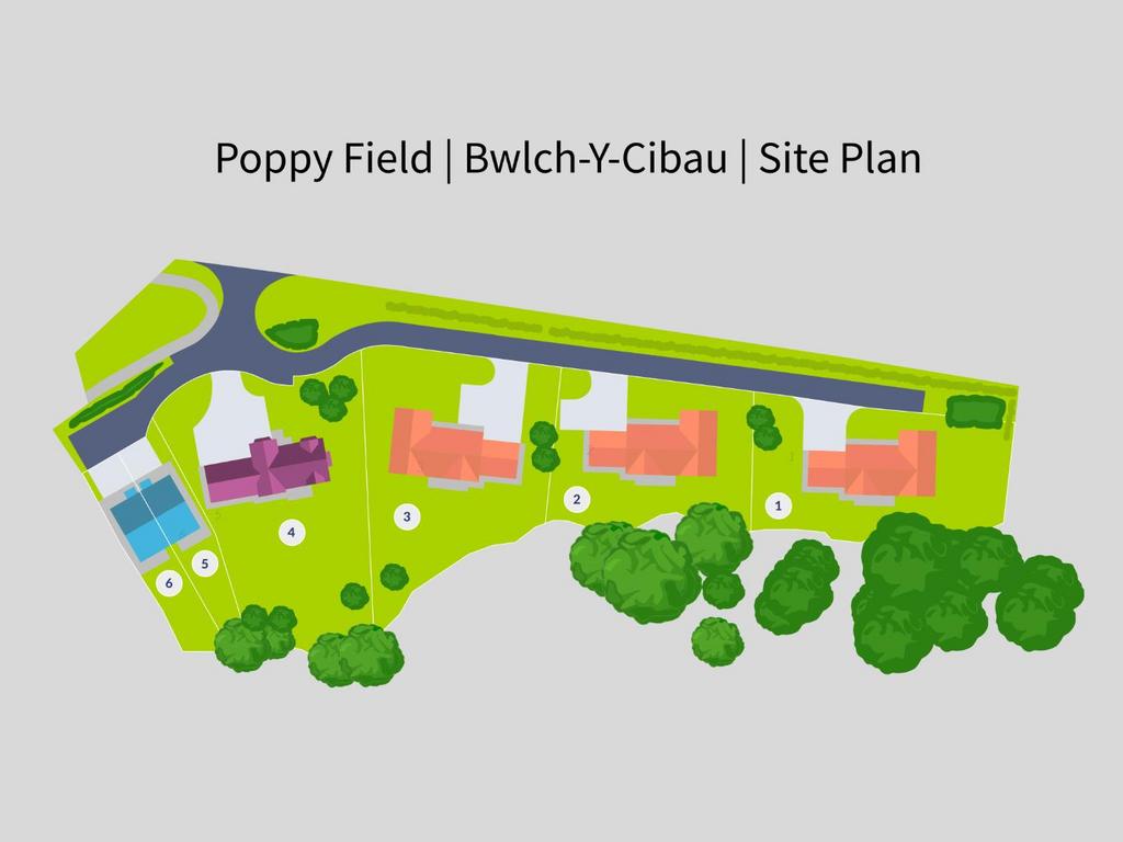 Poppy Field - Bwlch Y Cibau - (1).png