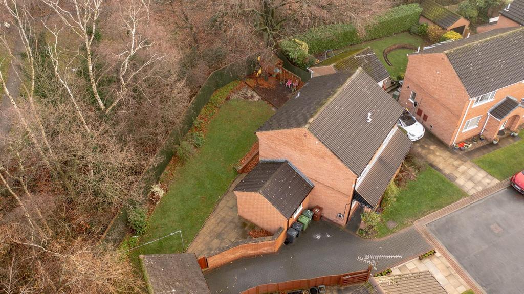 DJI 0103.jpg