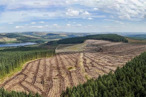 Property for sale, Catcleugh Forest, Nr Rochester, Redesdale, Northumberland