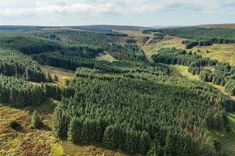 Property for sale, Catcleugh Forest, Nr Rochester, Redesdale, Northumberland