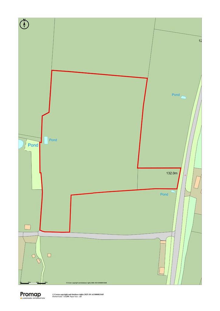 Site Plan.jpg