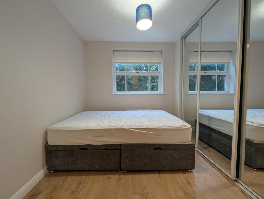 PXL 20250212 085145629.jpg