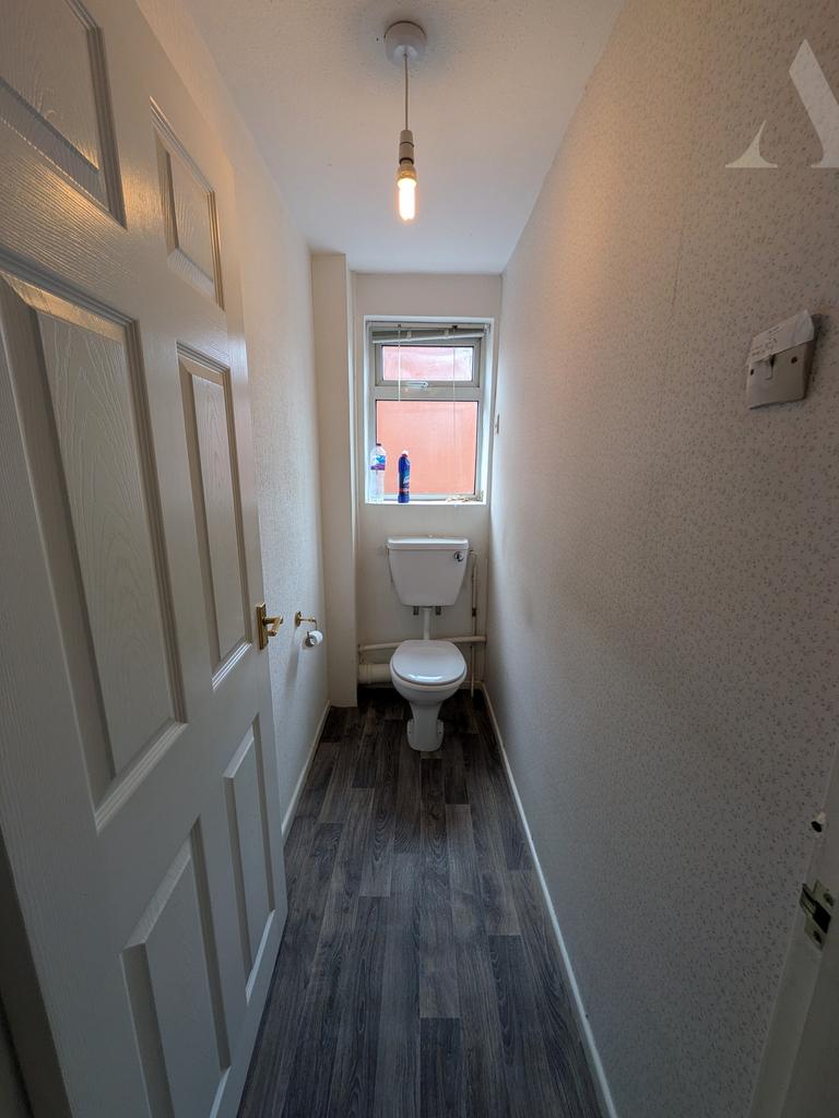 Pxl 20251212 113758473