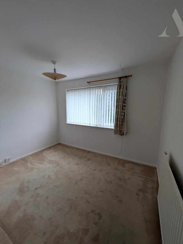 Pxl 20251212 113944411