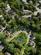 Thodays Crescent, Station Road, CB24 photo 5