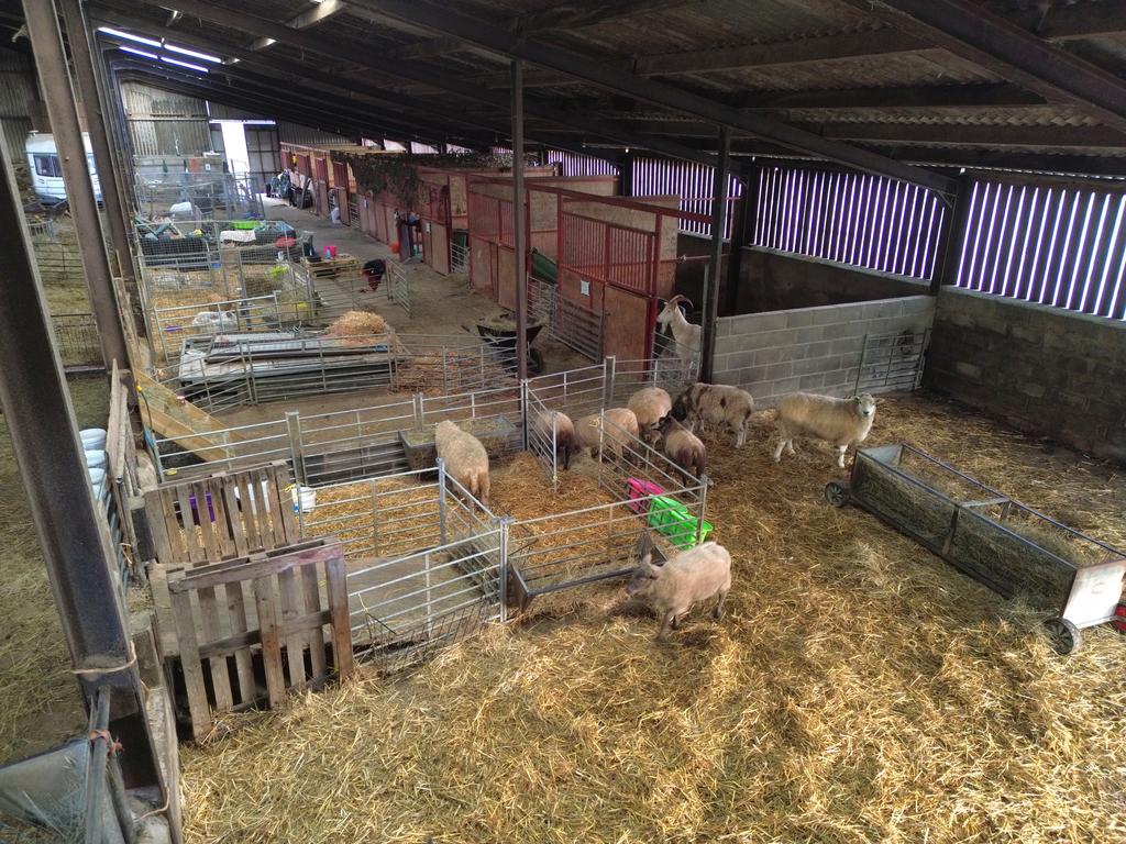 10 bay steel frame building