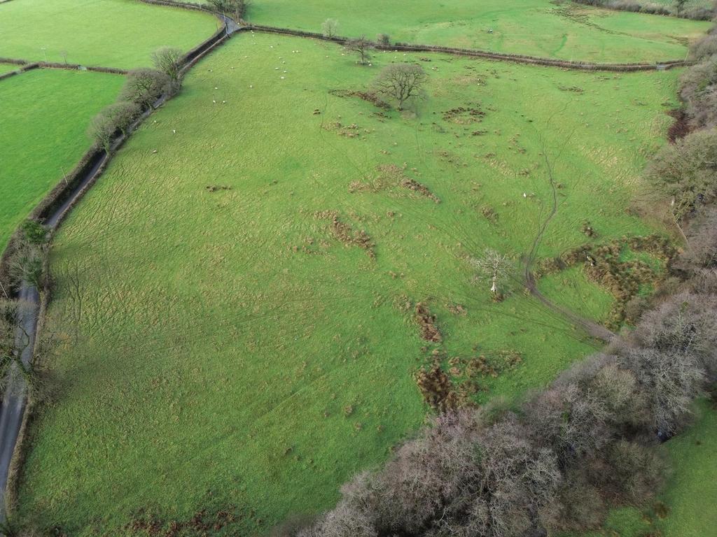 The land