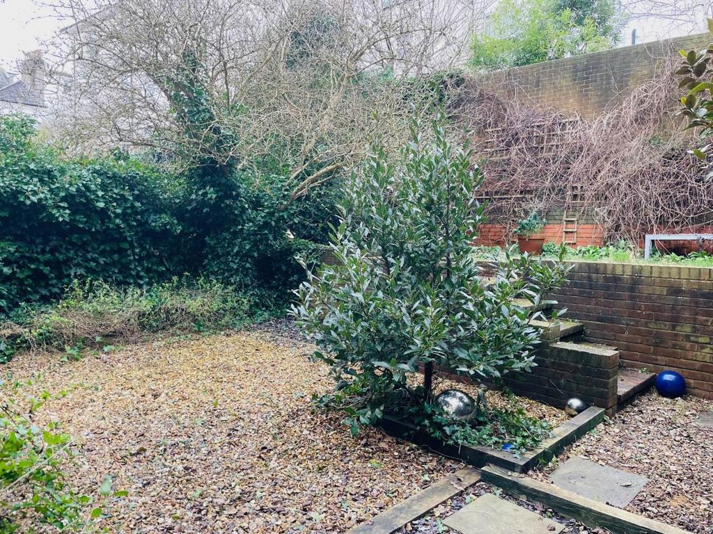 Garden Feb 24