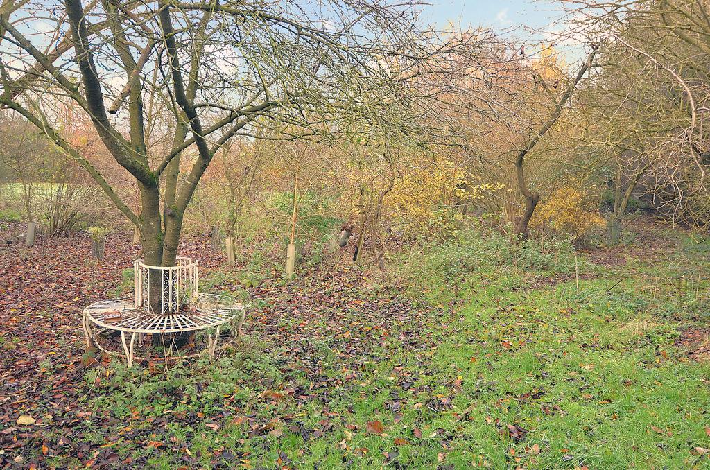 Woodland