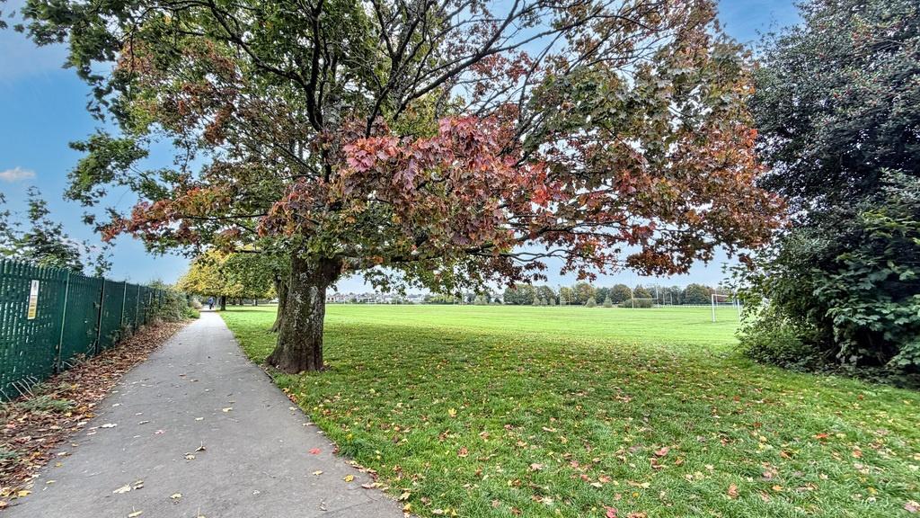 Tree-lined paved path runs alongside a wide gra...