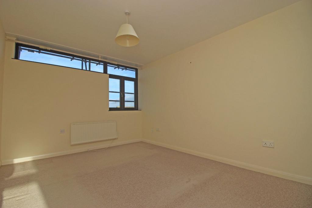 Picture 8