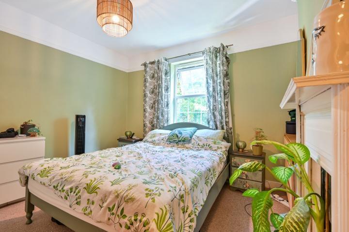 Chpk0160376 large-20 jpg