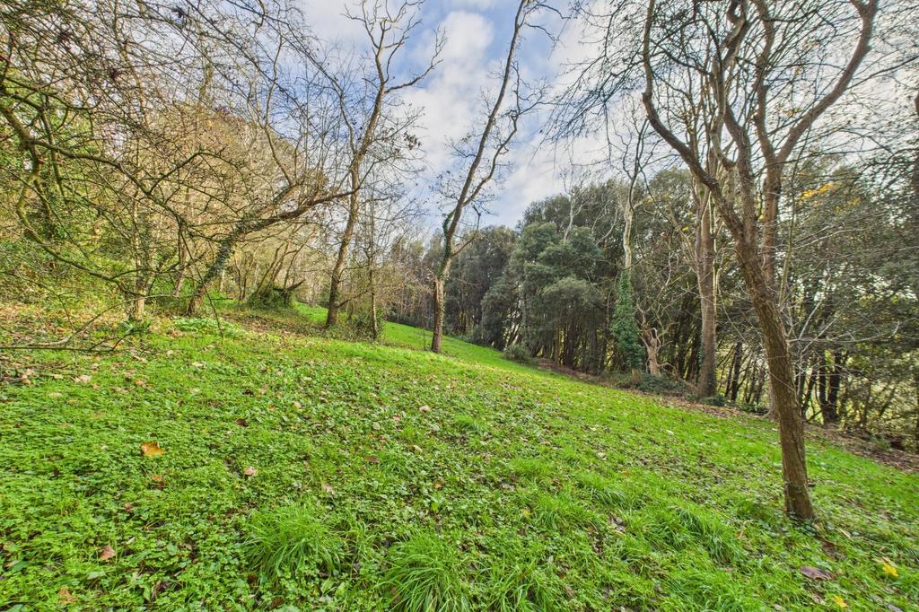 Woodland