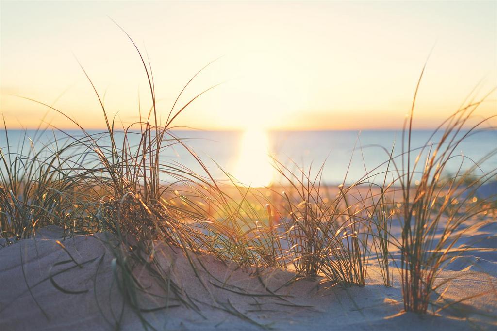 Dunes