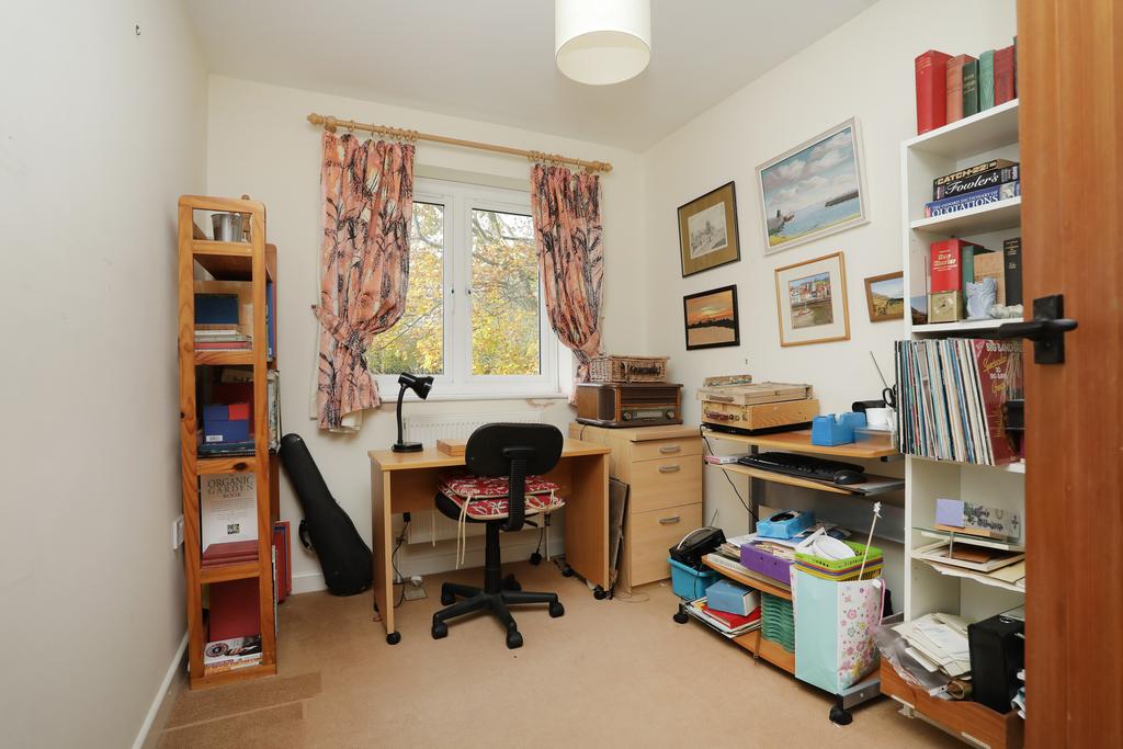 Picture 16