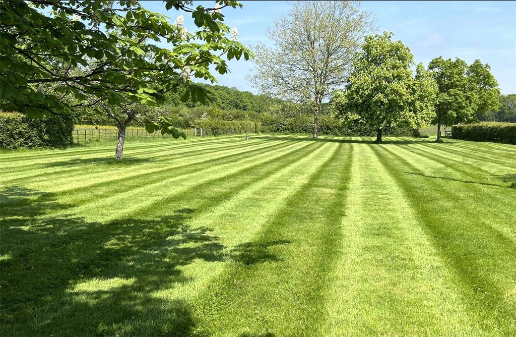 Grounds