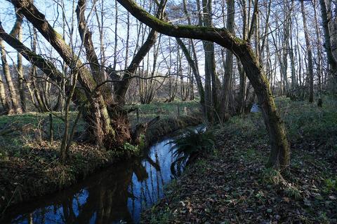 undefined, Kettlestone, Fakenham NR21