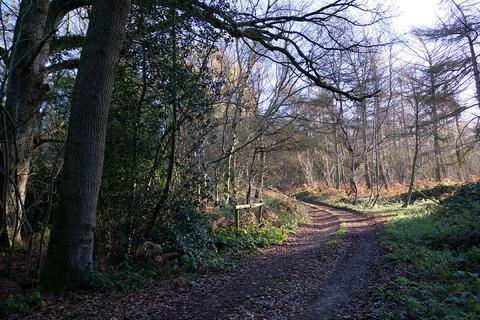 undefined, Kettlestone, Fakenham NR21