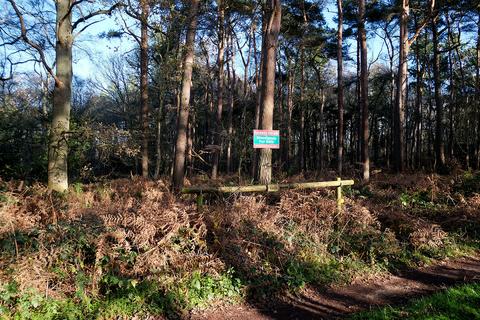 undefined, Kettlestone, Fakenham NR21