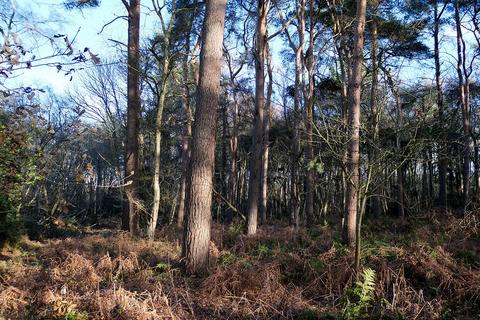 undefined, Kettlestone, Fakenham NR21