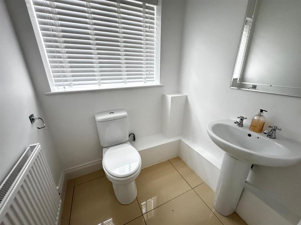 IMG 8252.jpeg