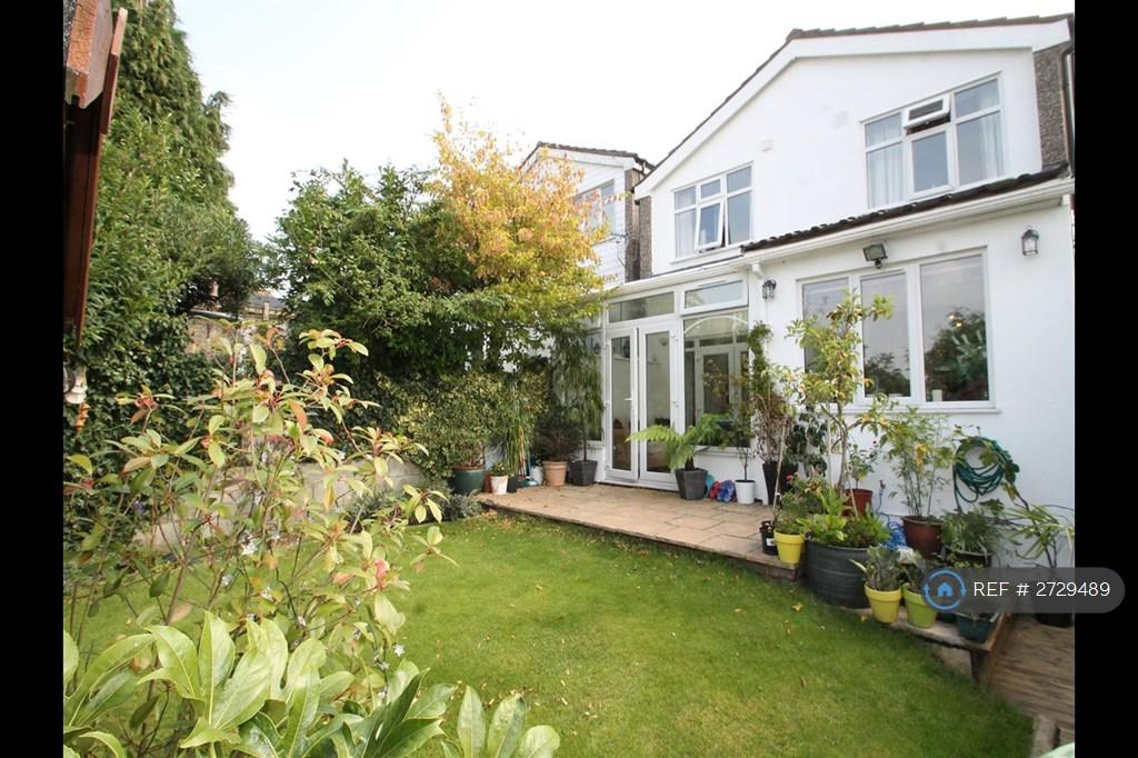 Garden Rear