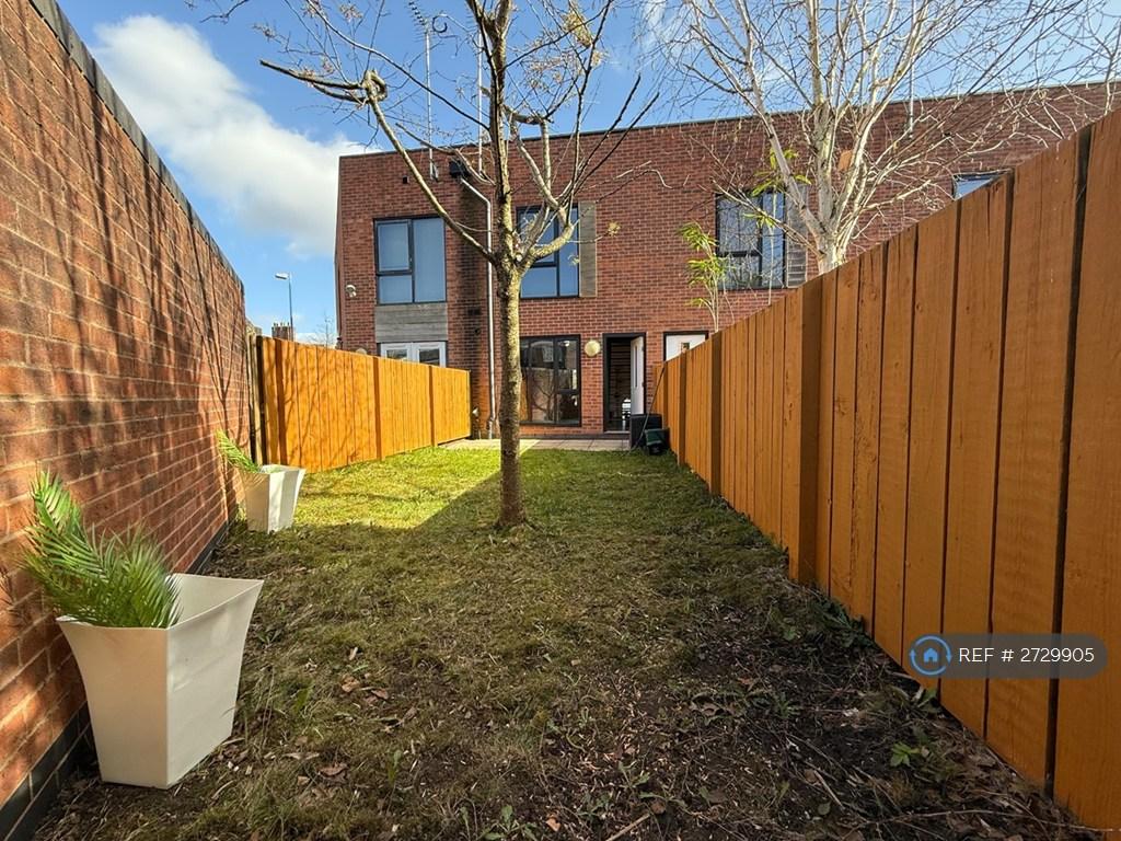 Back Garden