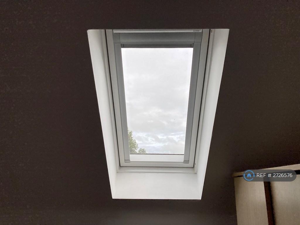Room 5 Velux Black Out Blind