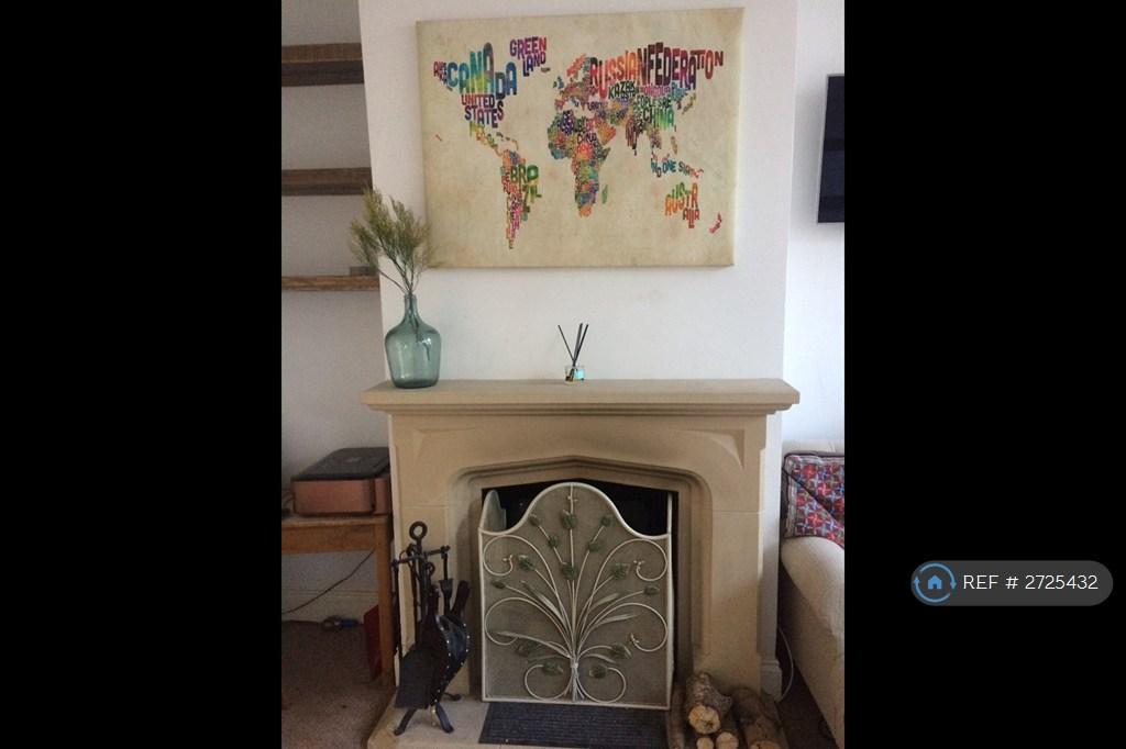 Working Fire Place