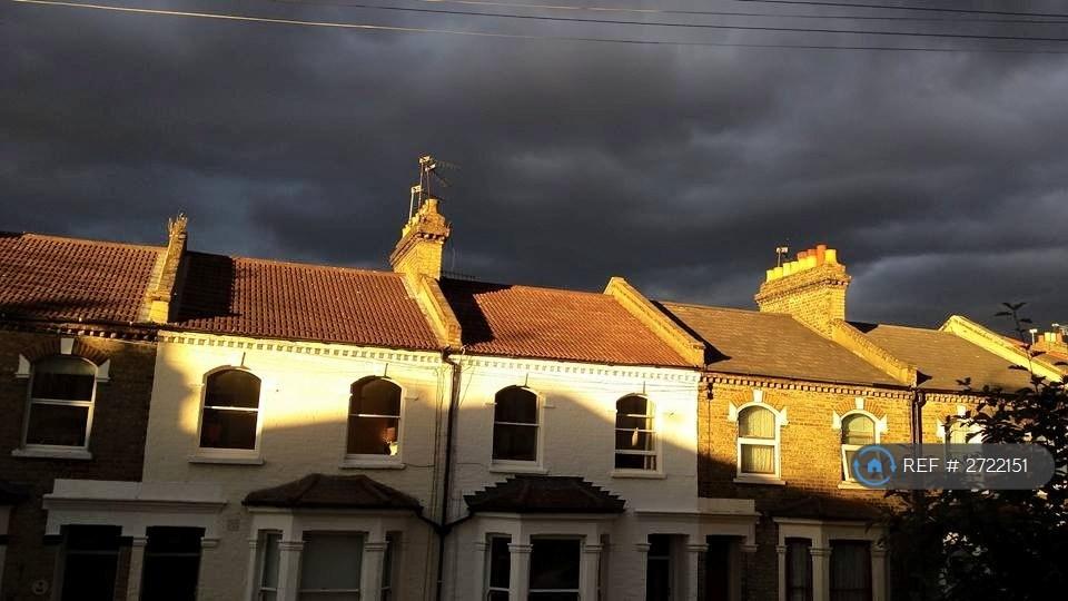 Catches Evening Sun.