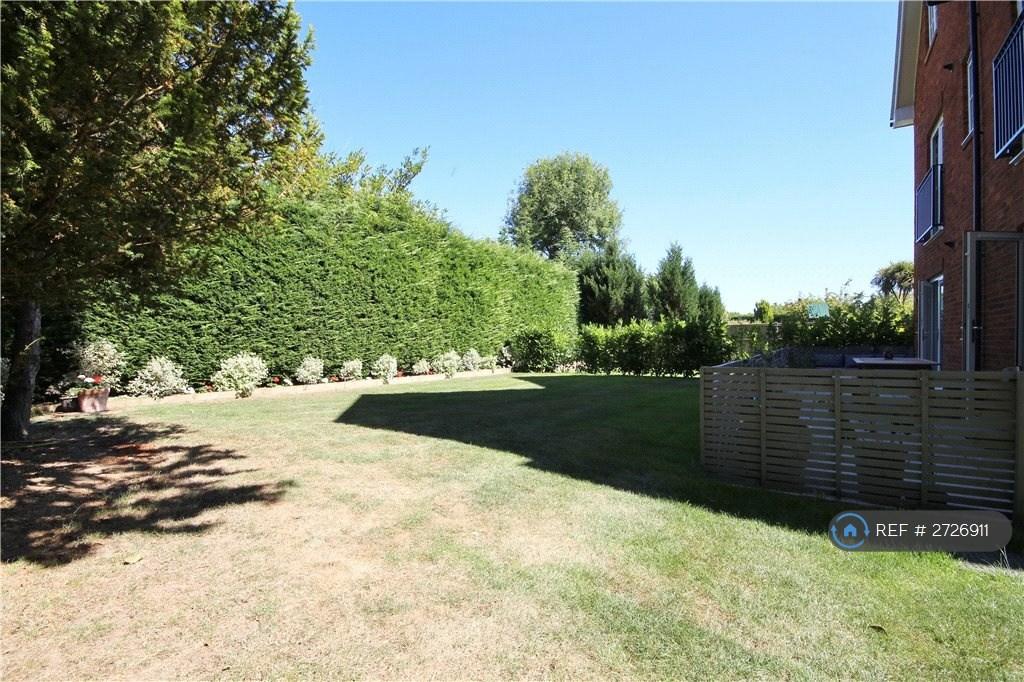 Communal Garden