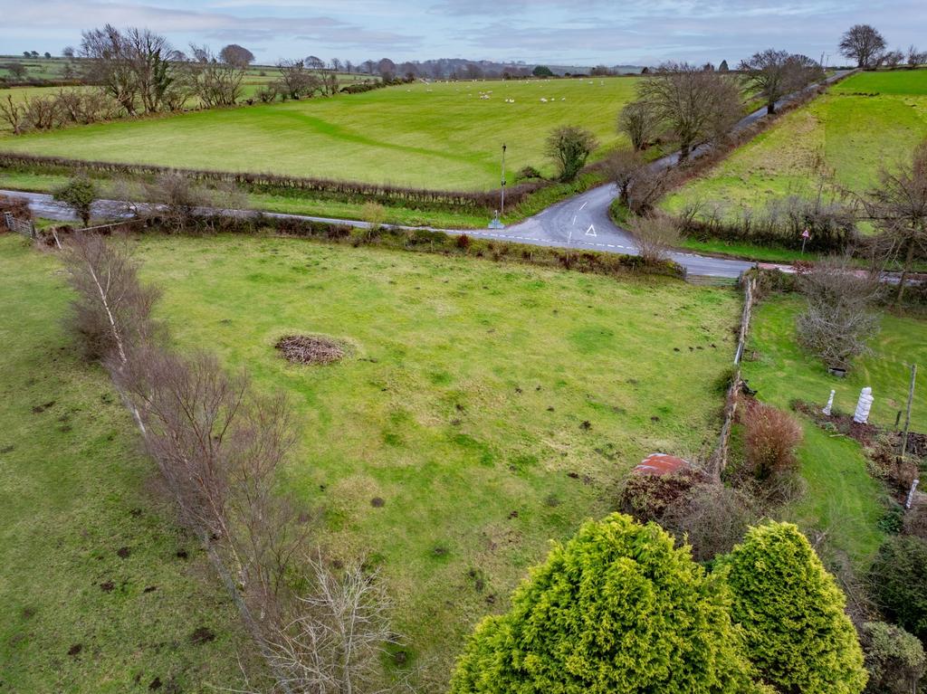 The land