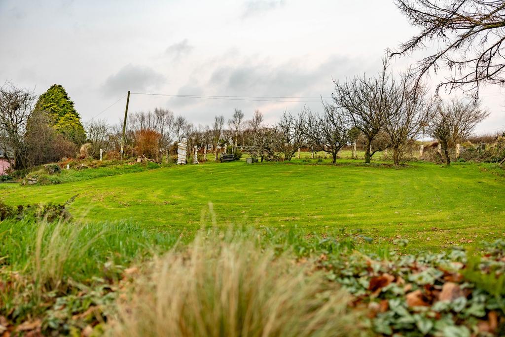 The Garden and Grounds
